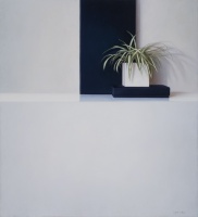 planta
