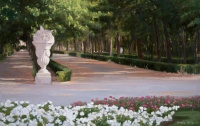 jardin